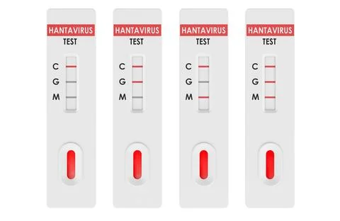 Hantavirus rapid test result cassettes. 3D rendering Stock Illustration