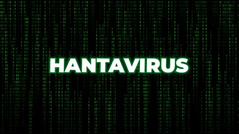 Hantavirus Text on Digital Matrix Background - Medical and Technology Concept Stock Footage 340024652