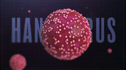 Hantavirus Title with Pink 3D Virus Particle Stock Footage 334437951