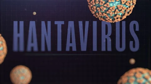 Hantavirus Title Surrounded by Teal and Orange Virus Particles Stock Footage 334438650