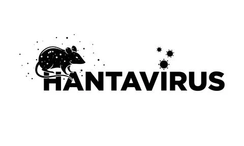 Hantavirus Typography Vector. Black text design with a rat silhouette and v.. Stock Illustration