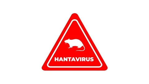Hantavirus Warning Sign - Red Triangle with Rat Silhouette and Text on Whit.. Stock Footage 340024013