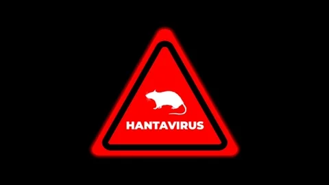 Hantavirus Warning Sign - Red Triangle with Rat Symbol and Text on Black Ba.. Stock Footage 340024186