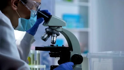 The hantavirus, which is being studied for its respiratory effects. in video Stock Footage 336583611