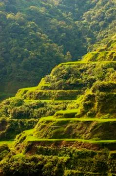 Hapao rice terraces Stock Photos