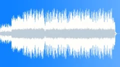 HAPPINESS AND SUCCESS Stock Music