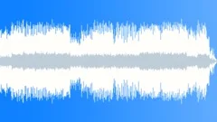 Happiness and Success Stock Music
