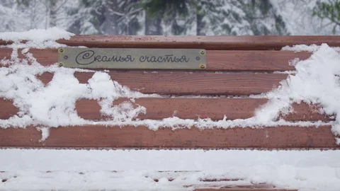 Happiness bench  in the park Mon Repos Stock Footage 70085249