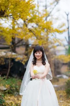 Happiness bride Stock Photos