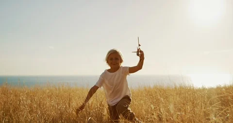 Happiness is an endless golden field Stock Footage 101394971