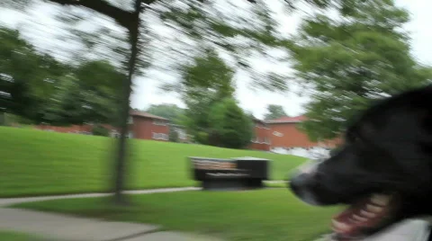 Happiness Video stock 788299