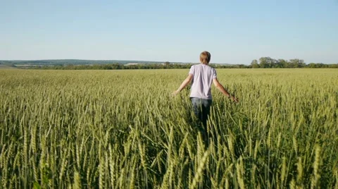 Happiness Stock Footage 11428358