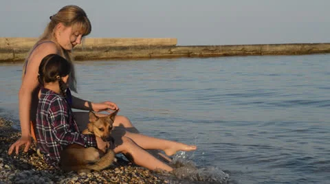 Happiness Stock Footage 25776682