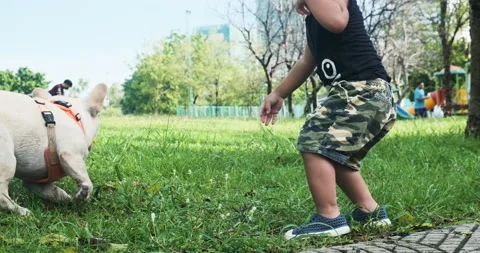 Happy 2 year boy playing with dog active game on green lawn Stock Footage 138729470