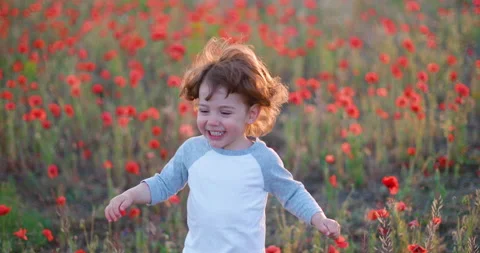 Happy 2 year old boy running across poppies field to mom and younger sister Stock Footage 131148247