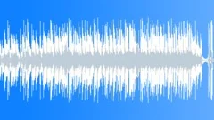Happy Acoustic (33 sec version) Stock Music