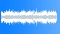 Happy AcousticStock Music