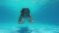Happy active child girl in the swimming pool, underwater view HD Footage