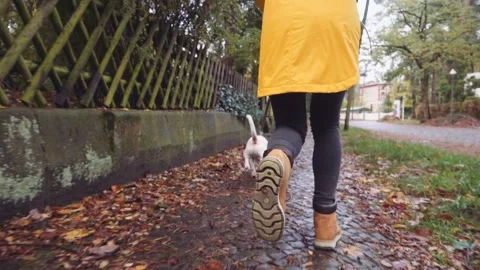 Happy Active Dog on a Leash Running on a City Street. SLOW MOTION 스톡 동영상 140368467