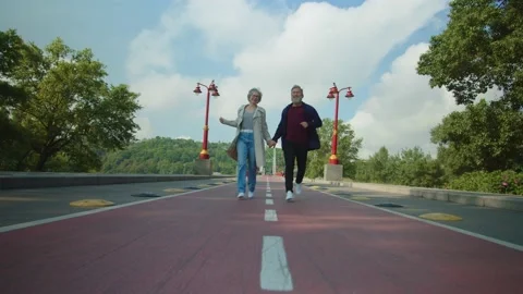 Happy aged couple having fun and hanging in summer park Stock Footage 155501493