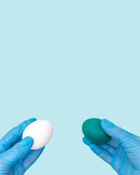 Happy and safe Easter concept. Two hands in protective medical gloves hold .. Stock Photos