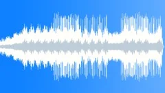Happy And Successful Stock Music