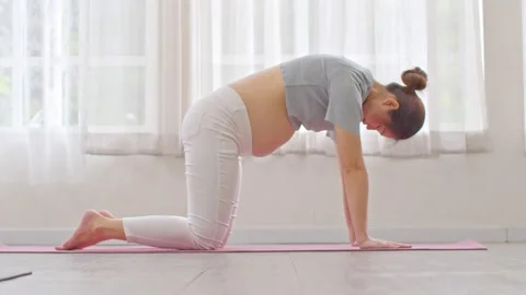 Athletic Asian Woman in Sportwear Practice Yoga Cat Cow Pose To Meditation  at Home Stock Photo - Image of meditation, happiness: 190249360