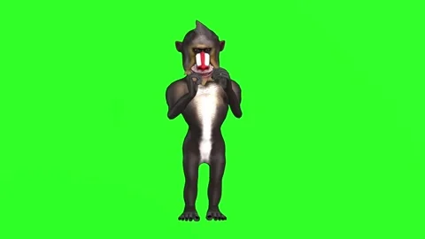 "Happy Baboon Talking and Gesturing Like a Human - 4K Green Screen Comedic Foota Stock Footage 282545577