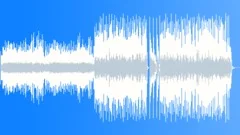 Happy Banjo (Cheeful Upbeat Country Pop) Stock Music