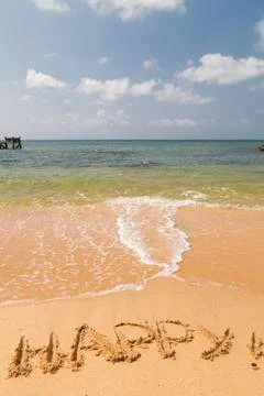 Happy on a beach Stock Photos