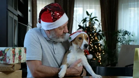 Happy beared senior man in red christmas hat with his dog beagle leaking him Stock Footage 145744644