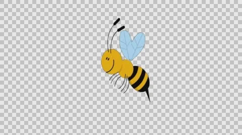 Happy Bee Animation Stock Footage