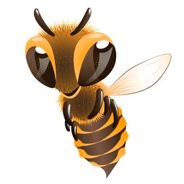 Happy bee. Stock Illustration