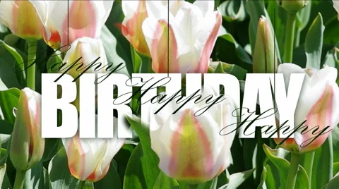 Happy birthday. Stock Footage 53059363