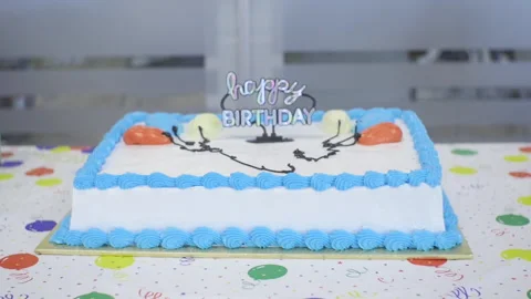 Happy Birthday Generic Cake Stock Footage 220313347