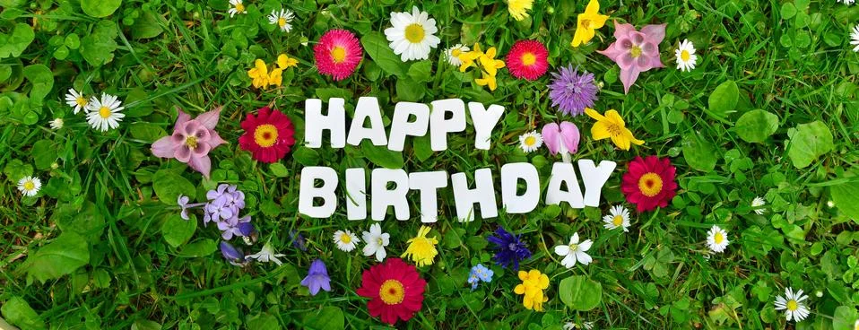 Happy Birthday shield letters flower meadow Stock Photos