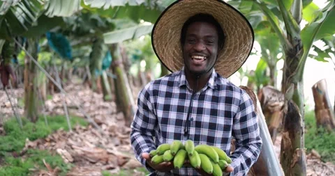 Happy black man smiling in camera and holding bananas Stock Footage 151683969