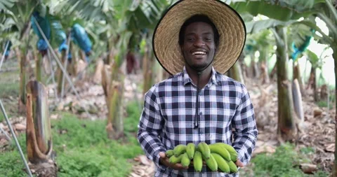 Happy black man smiling in camera and holding bananas Vídeos de archivo 151684026
