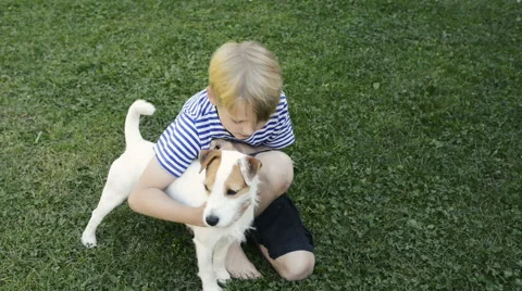 Happy blond boy playing with Parson Russell Terrier pet dog on the lawn. Vidéo 67290630