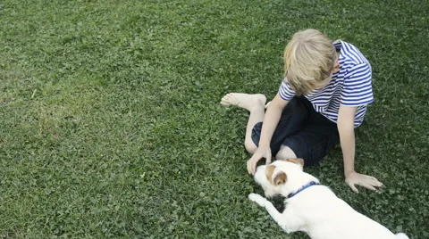 Happy blond boy playing with Parson Russell Terrier pet dog on the lawn. Vidéo 67295655