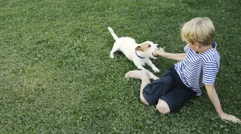 Happy blond boy playing with Parson Russell Terrier pet dog on the lawn. Vidéo 67296238