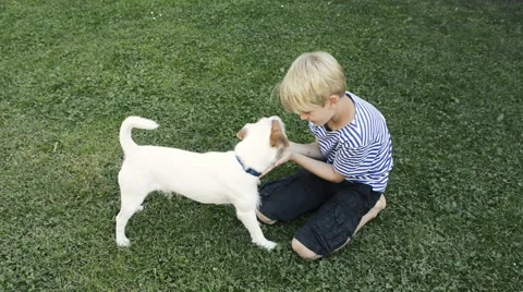 Happy blond boy playing with Parson Russell Terrier pet dog on the lawn. Vidéo 67296473