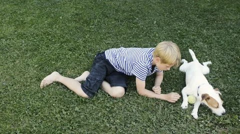Happy blond boy playing with Parson Russell Terrier pet dog on the lawn. Vidéo 67296759