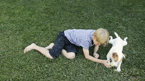Happy blond boy playing with Parson Russell Terrier pet dog on the lawn. Stock Footage 67296933