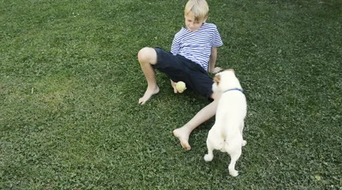 Happy blond boy playing with Parson Russell Terrier pet dog on the lawn. Vidéo 67297145