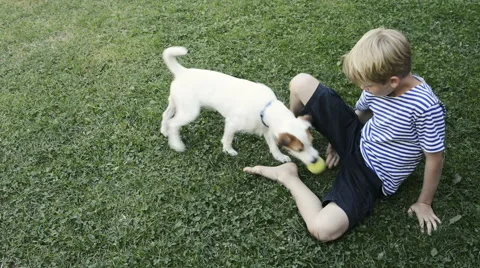 Happy blond boy playing with Parson Russell Terrier pet dog on the lawn. Stock Footage 67297416