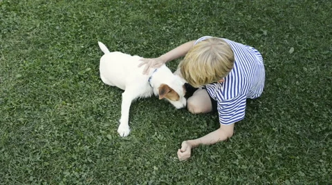 Happy blond boy playing with Parson Russell Terrier pet dog on the lawn. Vidéo 67297601