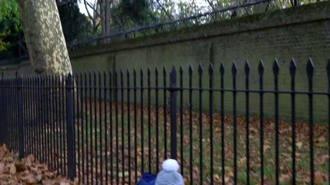 Happy boy are playing with the brown leaves by the street autumn fun 스톡 동영상 81755397