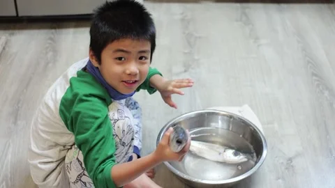 Happy boy child touch and feeling raw fresh scad fish, sitting in kitchen. Stock Footage 130761553