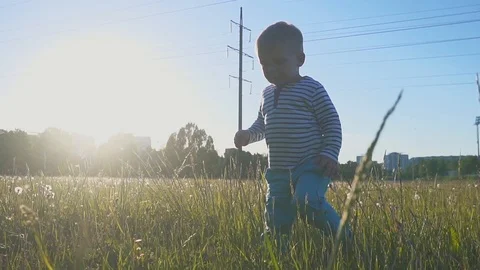 The happy boy going with a white dandelion flower in his hand near power line Stock Footage 90497593